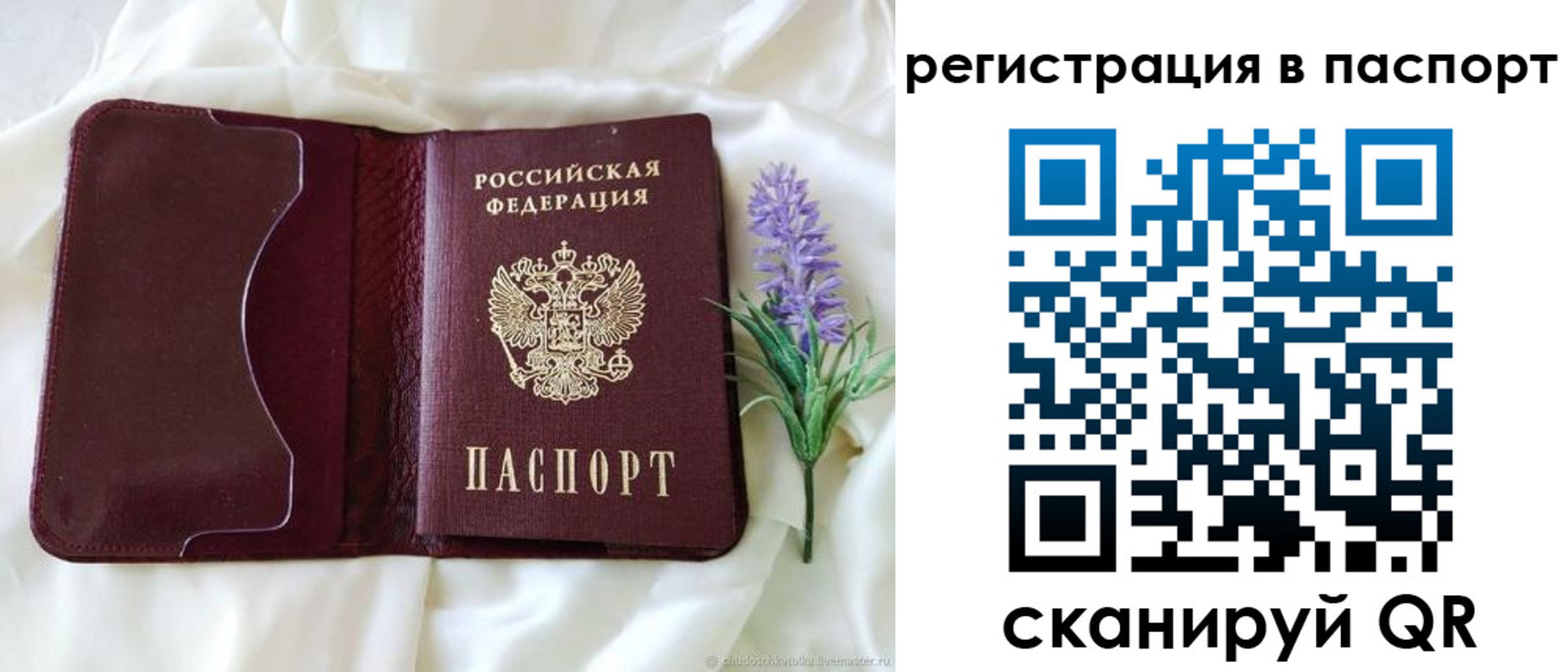 временная регистрация для всех в Жирновске
